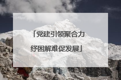 党建引领聚合力 纾困解难促发展