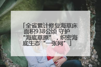 全省累计修复海草床面积938公顷 守护“海底草原”，织密海底生态“一张网”