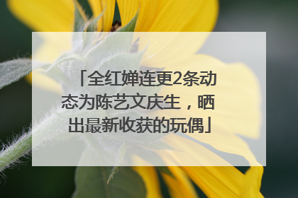 全红婵连更2条动态为陈艺文庆生，晒出最新收获的玩偶