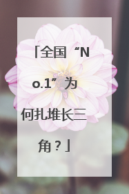 全国“No.1”为何扎堆长三角？