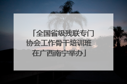 全国省级残联专门协会工作骨干培训班在广西南宁举办