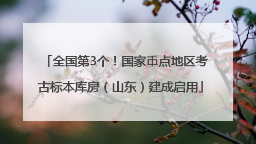 全国第3个！国家重点地区考古标本库房（山东）建成启用