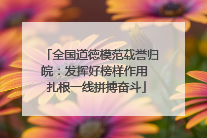 全国道德模范载誉归皖：发挥好榜样作用 扎根一线拼搏奋斗