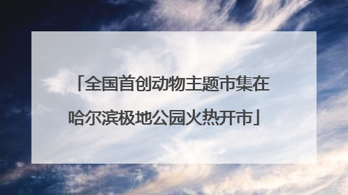 全国首创动物主题市集在哈尔滨极地公园火热开市