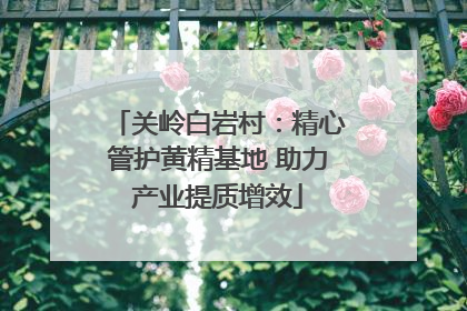关岭白岩村：精心管护黄精基地 助力产业提质增效