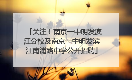 关注！南京一中明发滨江分校及南京一中明发滨江南浦路中学公开招聘