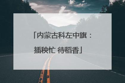 内蒙古科左中旗：插秧忙 待稻香
