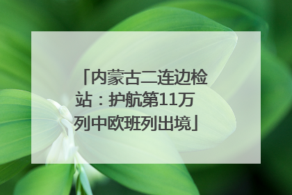 内蒙古二连边检站：护航第11万列中欧班列出境