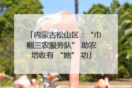 内蒙古松山区：“巾帼三农服务队” 助农增收有 “她” 功