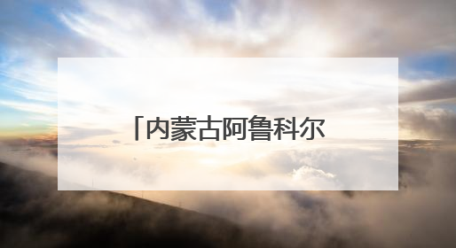 内蒙古阿鲁科尔沁旗：一棵草开启产业发展之路