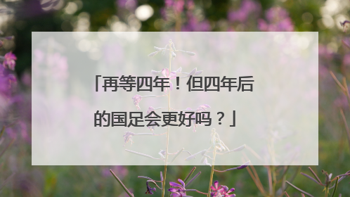 再等四年！但四年后的国足会更好吗？