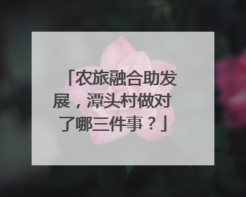 农旅融合助发展，潭头村做对了哪三件事？