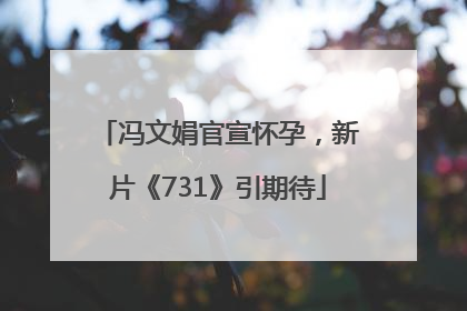 冯文娟官宣怀孕，新片《731》引期待