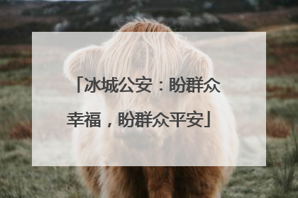 冰城公安：盼群众幸福，盼群众平安