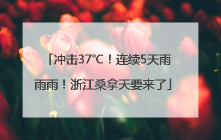 冲击37℃！连续5天雨雨雨！浙江桑拿天要来了