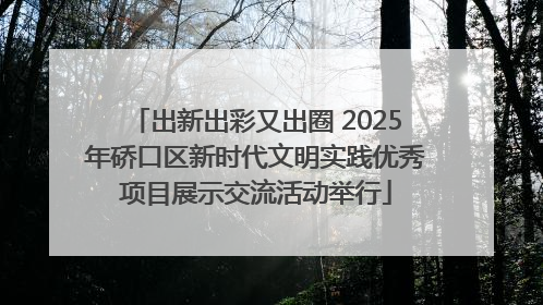 出新出彩又出圈 2025年硚口区新时代文明实践优秀项目展示交流活动举行