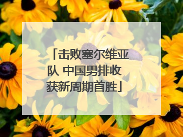 击败塞尔维亚队 中国男排收获新周期首胜