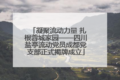 凝聚流动力量 扎根蓉城家园——四川盐亭流动党员成都党支部正式揭牌成立