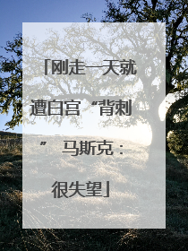 刚走一天就遭白宫“背刺” 马斯克：很失望