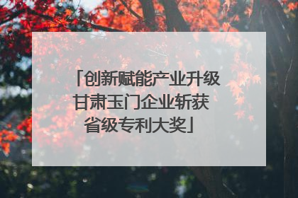 创新赋能产业升级 甘肃玉门企业斩获省级专利大奖