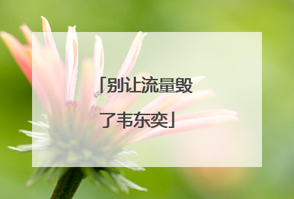 别让流量毁了韦东奕