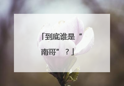 到底谁是“南哥”？