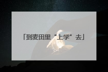 到麦田里“上学”去
