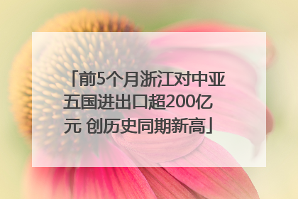 前5个月浙江对中亚五国进出口超200亿元 创历史同期新高