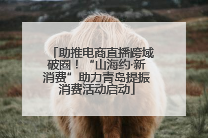 助推电商直播跨域破圈！“山海约·新消费”助力青岛提振消费活动启动
