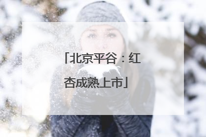 北京平谷：红杏成熟上市
