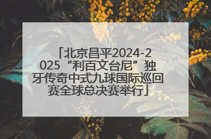 北京昌平2024-2025“利百文台尼”独牙传奇中式九球国际巡回赛全球总决赛举行
