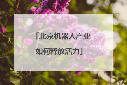 北京机器人产业如何释放活力