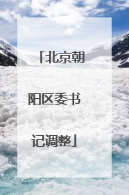 北京朝阳区委书记调整