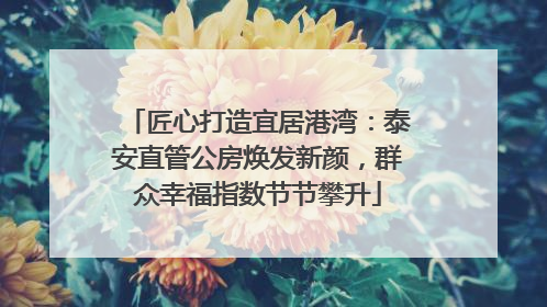 匠心打造宜居港湾：泰安直管公房焕发新颜，群众幸福指数节节攀升