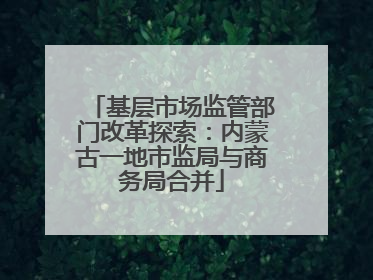 基层市场监管部门改革探索：内蒙古一地市监局与商务局合并
