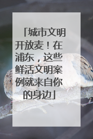 城市文明开放麦！在浦东，这些鲜活文明案例就来自你的身边