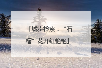 城步检察：“石榴”花开红艳艳