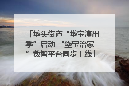 垡头街道“垡宝演出季”启动 “垡宝治家”数智平台同步上线