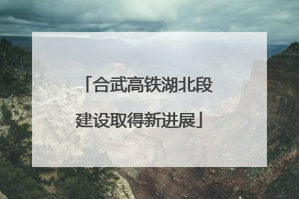 合武高铁湖北段建设取得新进展