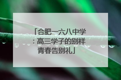 合肥一六八中学：高三学子的别样青春告别礼