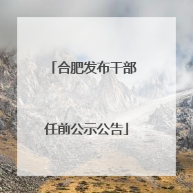 合肥发布干部任前公示公告