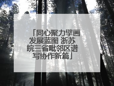 同心聚力擘画发展蓝图 浙苏皖三省毗邻区谱写协作新篇