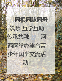 同根同脉同舟筑梦 互学互助传承共融——河西区举办津台青少年国学交流活动