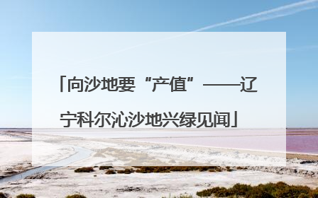 向沙地要“产值”——辽宁科尔沁沙地兴绿见闻