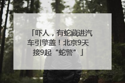 吓人，有蛇藏进汽车引擎盖！北京9天接9起“蛇警”