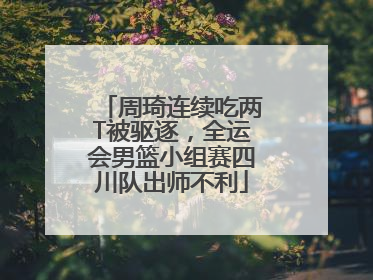 周琦连续吃两T被驱逐，全运会男篮小组赛四川队出师不利