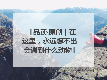 品读·原创｜在这里，永远想不出会遇到什么动物