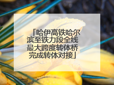 哈伊高铁哈尔滨至铁力段全线最大跨度转体桥完成转体对接