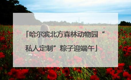 哈尔滨北方森林动物园“私人定制”粽子迎端午