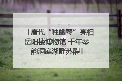 唐代“独幽琴”亮相岳阳楼博物馆 千年琴韵洞庭湖畔苏醒
